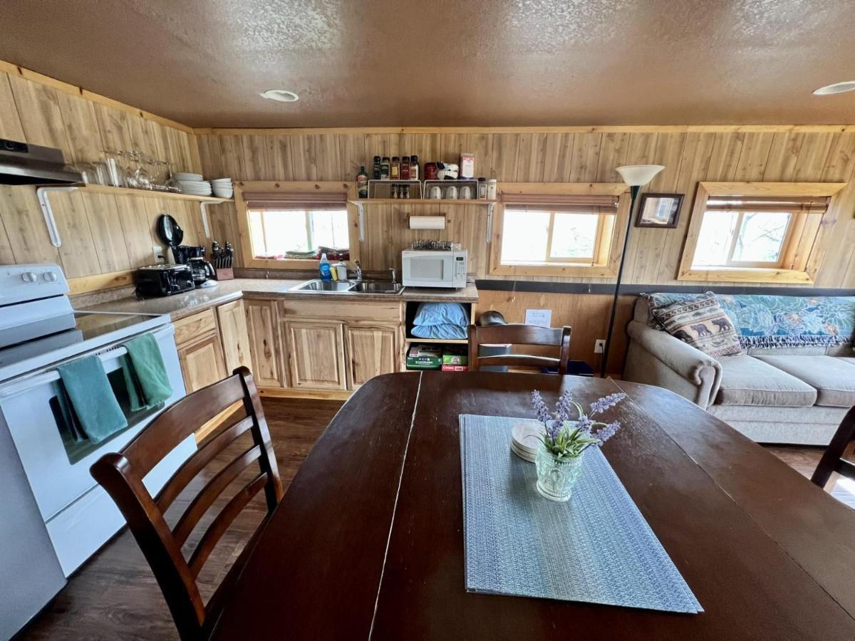 Modern Log Cabin Denali Park Eksteriør billede